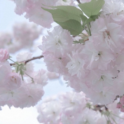 开远FurryQQ群介绍